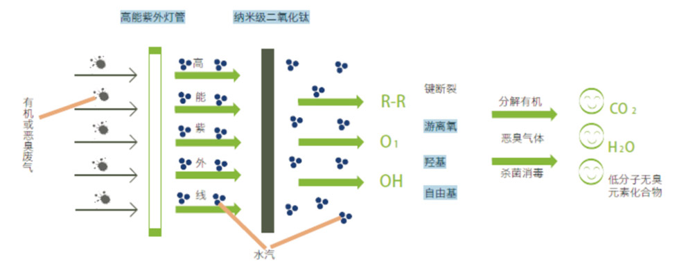 UV光催化氧化凈化設備