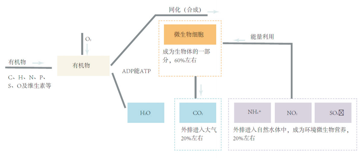 箱式生物法廢氣處理裝置